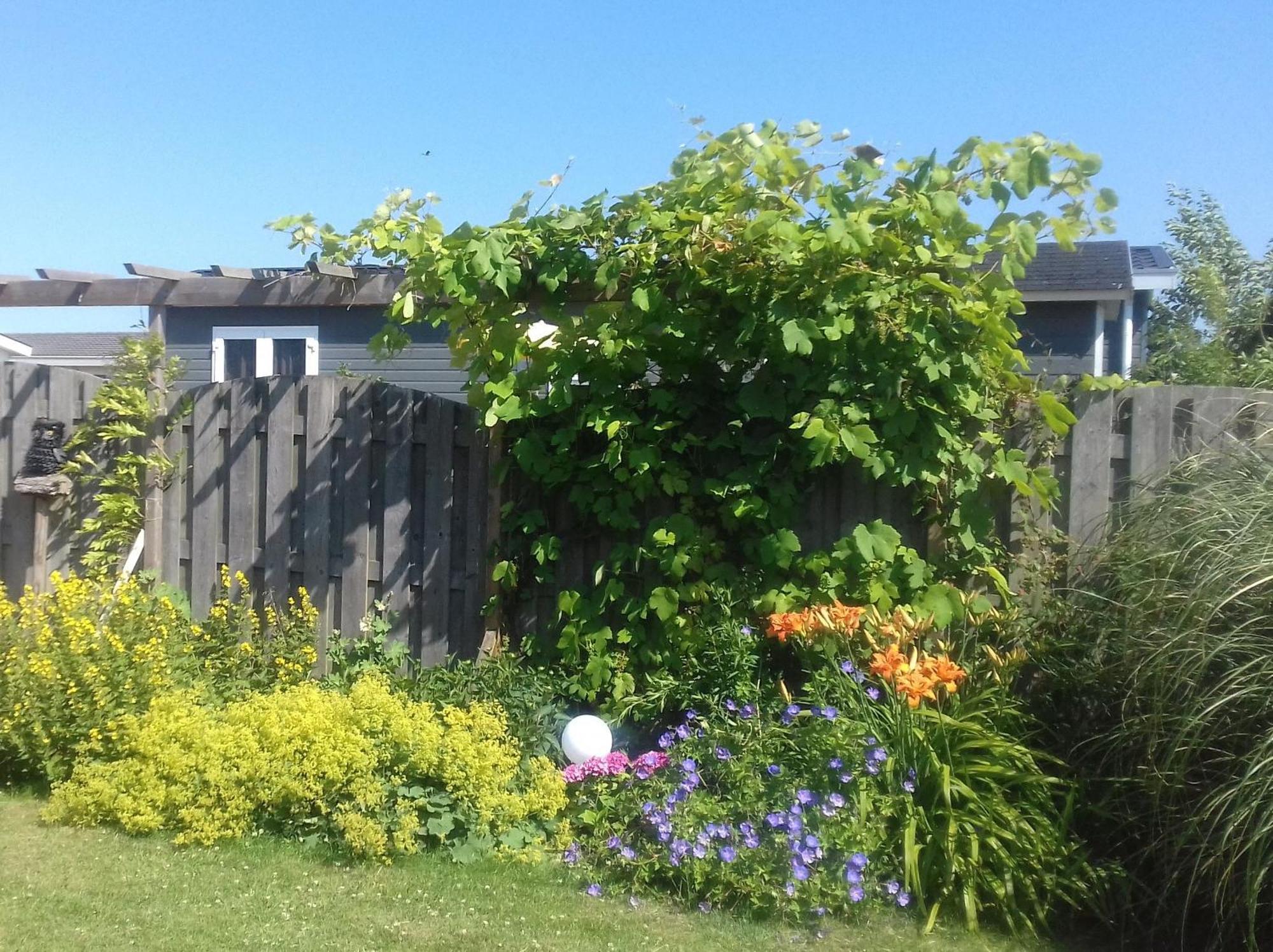 Vakantiehuis Kustverhuur, Park Schoneveld, Zeester 20 *